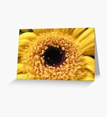 The Spring is here! Greeting Card