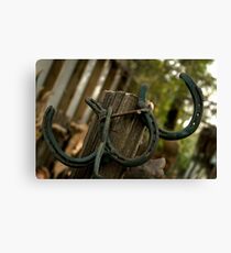 Horse Shoes Canvas Print
