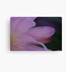 Enchanting Canvas Print