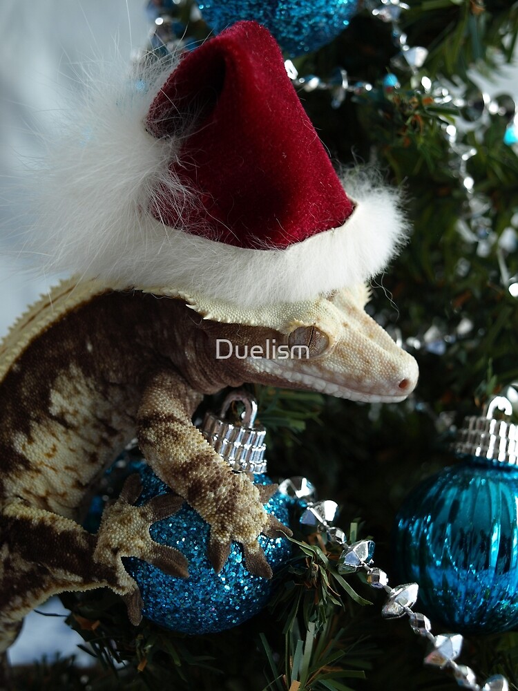 "Eclair Christmas Crested Gecko Santa Hat Reptile Lizards In Hats