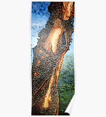 Flame Poster