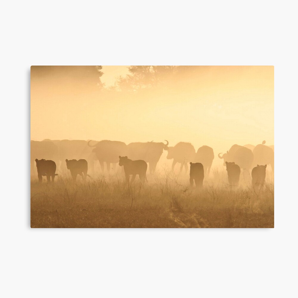 " Relentless Enemies 7 " Canvas Print