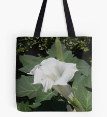 A Moonflower - the Datura plant Tote Bag