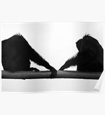 Side by Side Poster