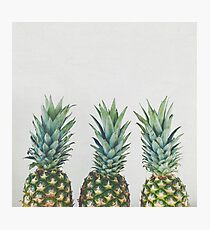Pineapple Trio Photographic Print