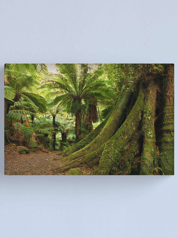 Alternate view of Forest Track Canvas Print