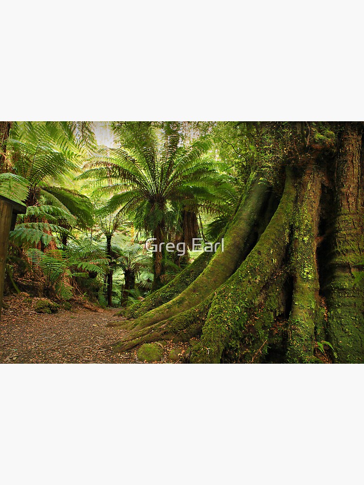 Forest Track by GregEarl