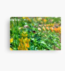 Spring sermon Metal Print