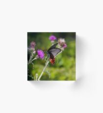 Butterfly And Thistle Acrylic Block