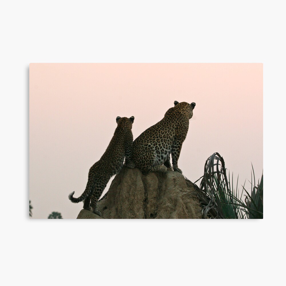 Look out point Canvas Print