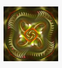 Labyrinth Photographic Print