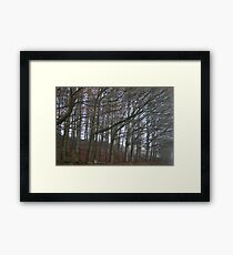 The sleeping trees of Winter Framed Print