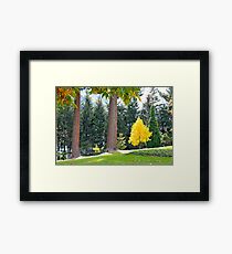 Queenstown Gardens Framed Print