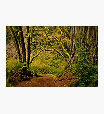 Ancient Entry Photographic Print
