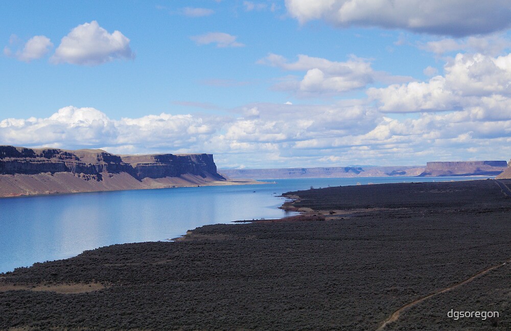 "Banks Lake, Washington " by Donald Siebel Redbubble
