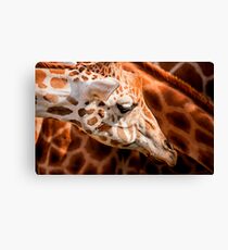 Spots on Spots on Spots Canvas Print