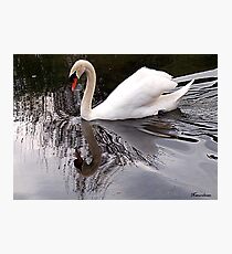 The Lady Bird! Photographic Print