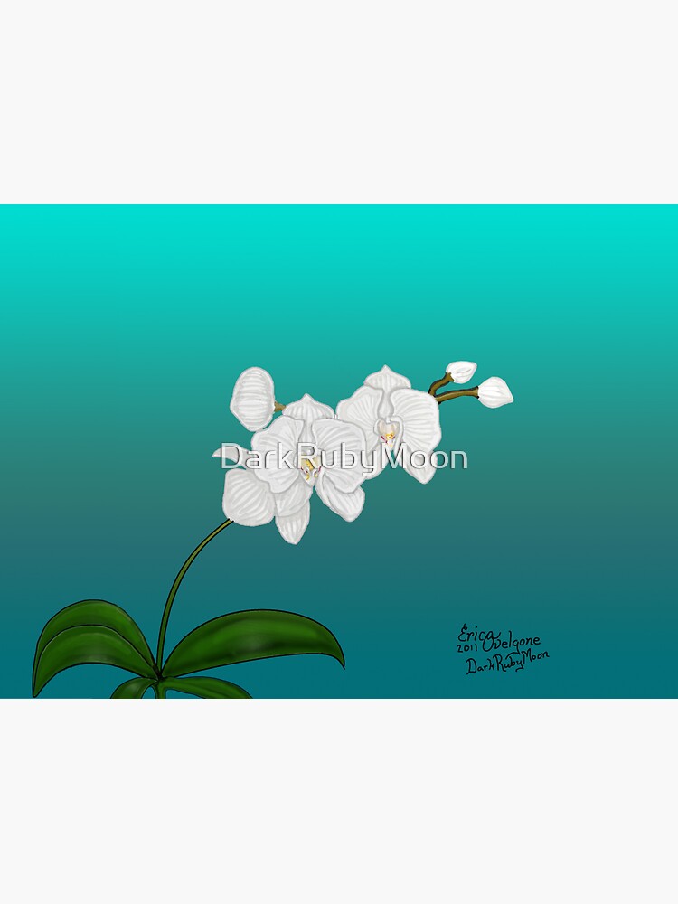 White Orchid by DarkRubyMoon