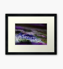 BlueWaters Framed Print
