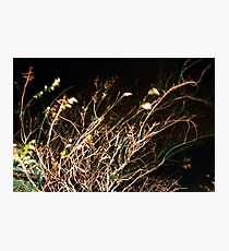 blur Photographic Print