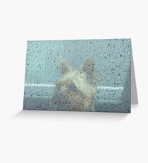 Rainstorm Greeting Card