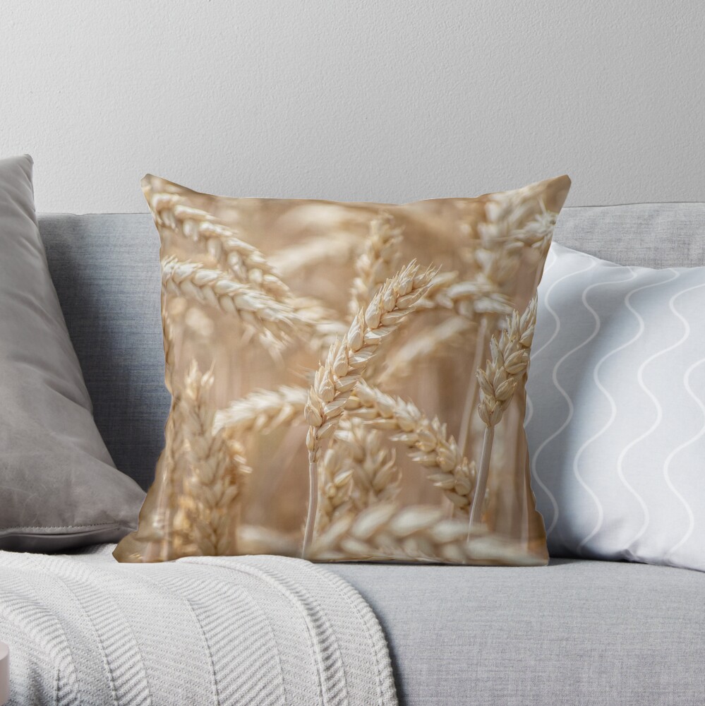 Golden wheat Throw Pillow