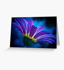 Lamplight Greeting Card