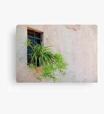 Lienzo metálico Plant Window - Poble Espanyol, Barcelona
