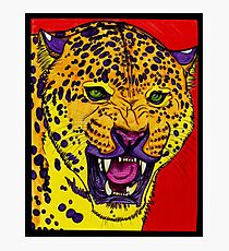 Snarl Photographic Print