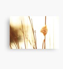 Rush Canvas Print
