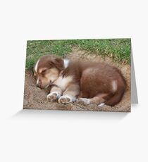 linus Greeting Card