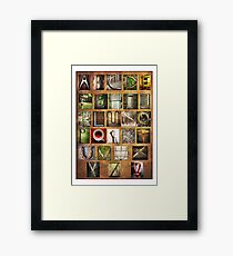 Alphabet Framed Print