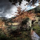 The Fence and the Stream by damien-c