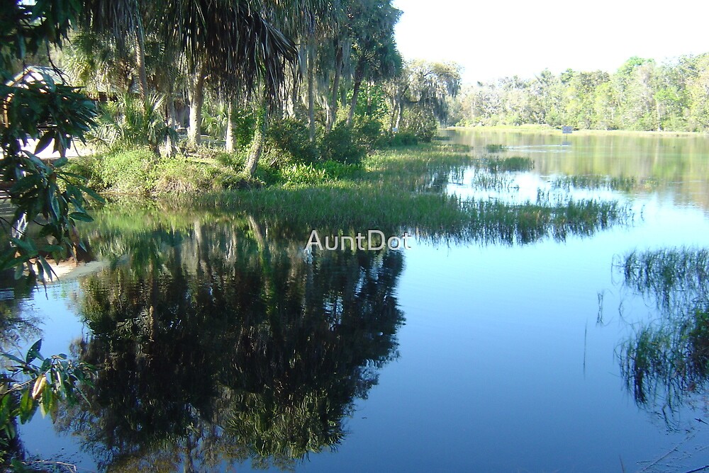 "Rainbow River Dunnellon, Florida" by AuntDot Redbubble