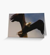 Catch of the day Greeting Card