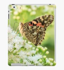 Painted Lady Butterfly iPad Case/Skin