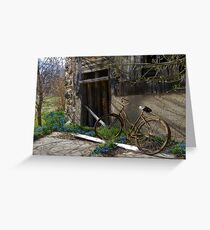 Flower Pedals Greeting Card