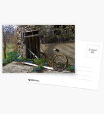 Flower Pedals Postcards