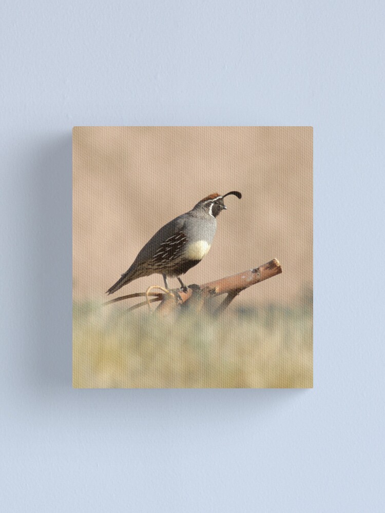 Alternate view of Quail rising Canvas Print