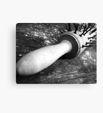 Domesticated Canvas Print