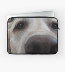 Nosy Dogs Laptop Sleeve