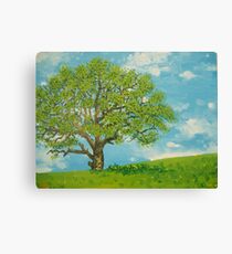 Baum Canvas Print
