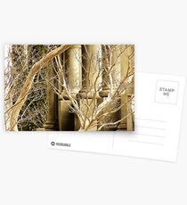 Tamas Postcards