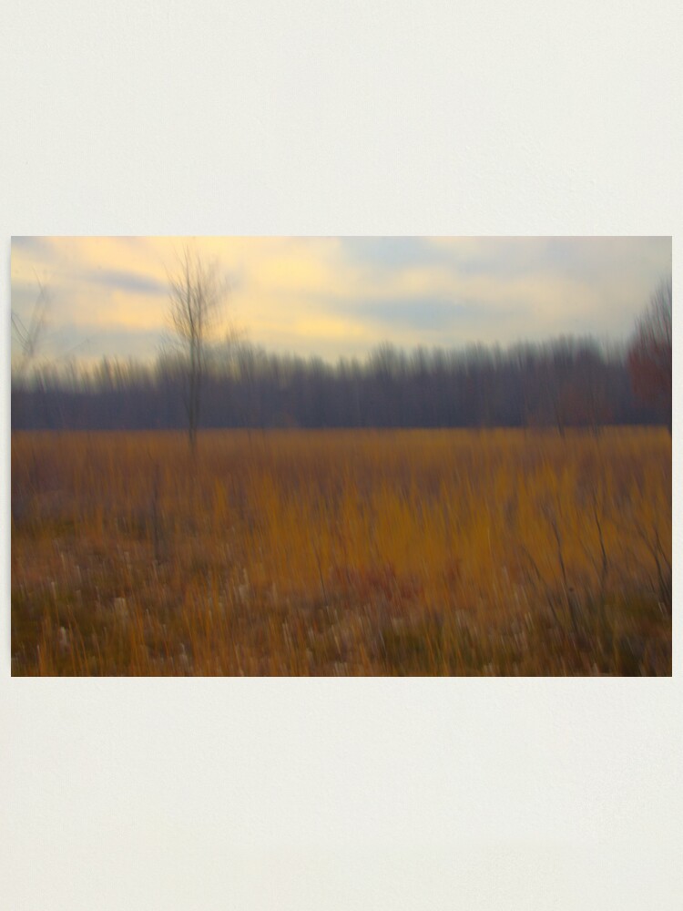 Alternate view of Oak Openings Prairie Afternoon Photographic Print