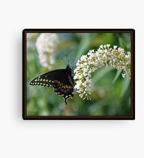 LIVING ART Canvas Print