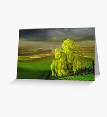 Green Beginning Greeting Card