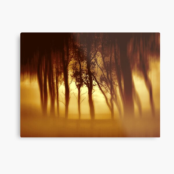 Morning Tree Silhouette(Sepia) Metal Print