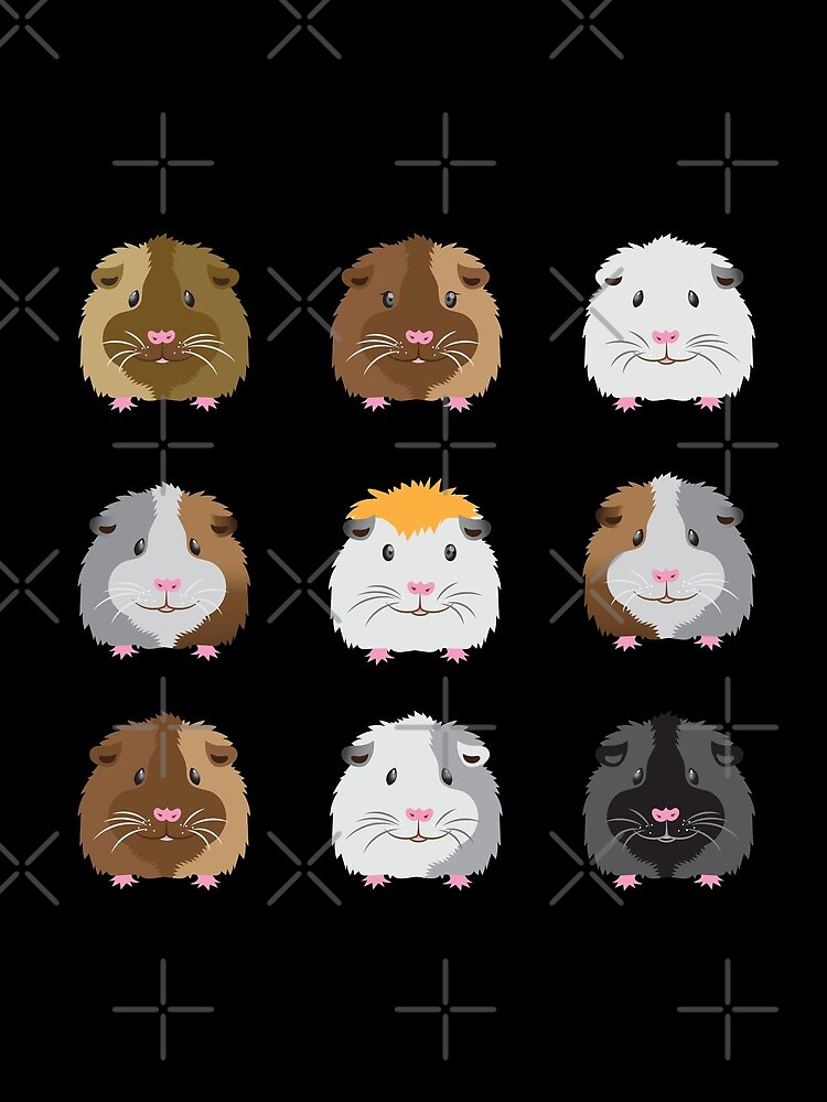 Nine Guinea pigs faces (Super cute!) by jazzydevil