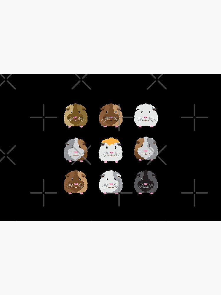 Nine Guinea pigs faces (Super cute!) by jazzydevil