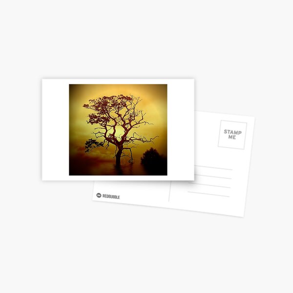 Evening Tree Postcard